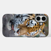 Coques Case-Mate iPhone Amur tiger (Verso (horizontal))