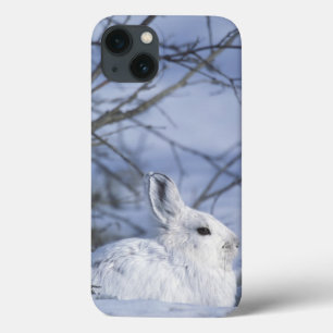 iPhone 13 Coque AN, États-Unis, Alaska. Réserve faunique nationale