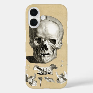 Coques iPhone 16 Anatomie du crâne et des os