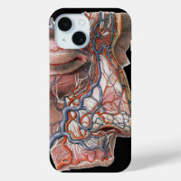 Anatomie humaine de la science vintage, visage ave