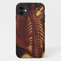 Anatomie/Squelette de Coque-Coque