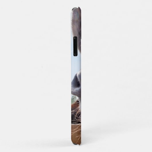 Coques Case-Mate iPhone Âne souriant (Dos/Droite)