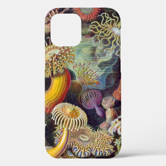 Coques Case-Mate iPhone Anémone de mer Nature scientifique Océan (Verso)