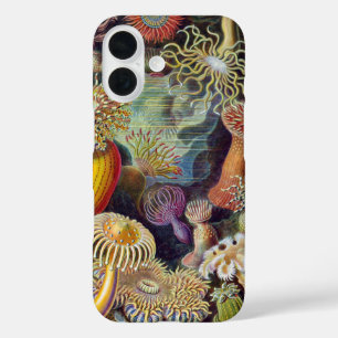 Coques iPhone 16 Anémone de mer Nature scientifique Océan