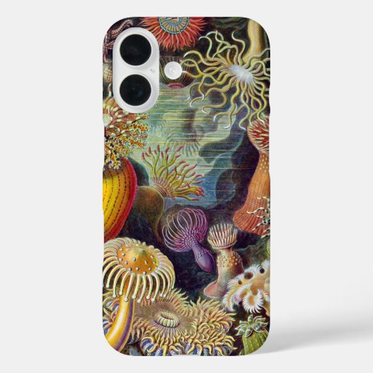 Coques Case-Mate iPhone Anémone de mer Nature scientifique Océan (Verso)