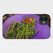 Coques Case-Mate iPhone Anemonefish et grande anémone (Dos (Horizontal))