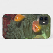 Coques Case-Mate iPhone Anemonefish rose dans l'actinie de Magnificant (Dos (Horizontal))