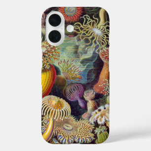 Coques iPhone 16 Anémones sous-marines vintages par Ernst Haeckel