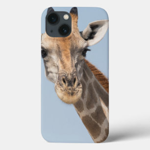 Case-Mate iPhone Case Angolan Giraffe Portrait