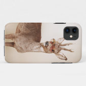 Coques Case-Mate iPhone Animaux cool en lunettes de soleil. (Dos (Horizontal))