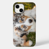 Coques Case-Mate iPhone Animaux de bébés cutest | Australian Shepherd Pupp (Verso)