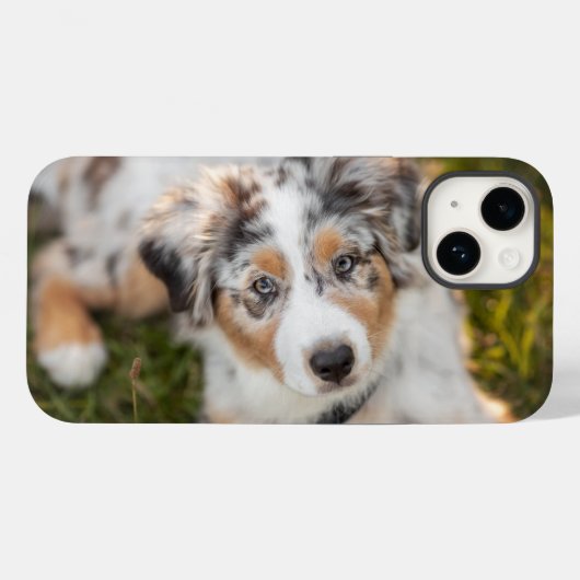 Coques Case-Mate iPhone Animaux de bébés cutest | Australian Shepherd Pupp (Verso (horizontal))