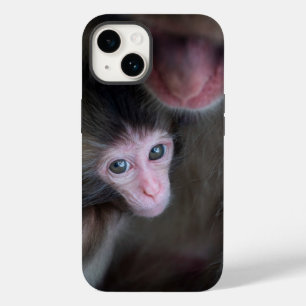 Coque Pour iPhone 14 Animaux de bébés cutest Bébé Macaque singe et mè