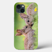 Coques Case-Mate iPhone Animaux de bébés cutest | Bunny Kiss (Verso)