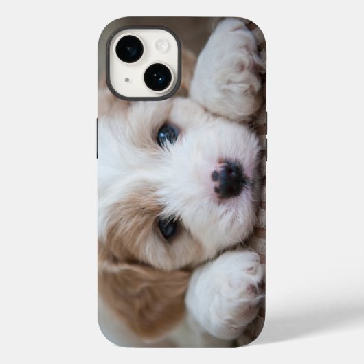 Coques Case-Mate iPhone Animaux de bébés cutest | Cavashon Puppy (Verso)