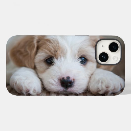 Coques Case-Mate iPhone Animaux de bébés cutest | Cavashon Puppy (Verso (horizontal))