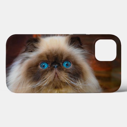 Coques Case-Mate iPhone Animaux de bébés cutest | Chat himalayen (Verso (horizontal))