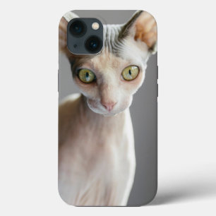 Case-Mate iPhone Case Animaux de bébés cutest Chat Sphinx