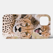 Coques Case-Mate iPhone Animaux de bébés cutest | Cheetah Cat & Cub (Verso (horizontal))