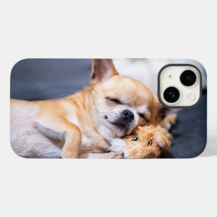 Coque Pour iPhone 14 Animaux de bébés cutest   Chihuahua Chig aux cheve