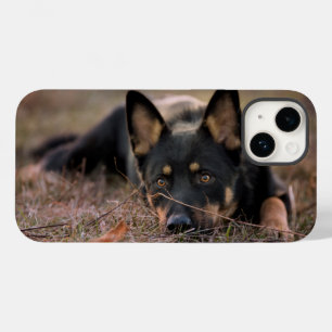Coque Pour iPhone 14 Animaux de bébés cutest   Chiot berger allemand