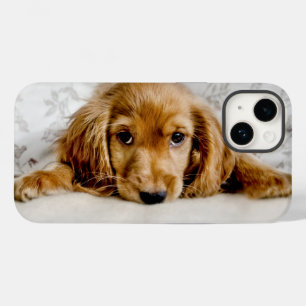Coque Pour iPhone 14 Animaux de bébés cutest   Cocker Spaniel