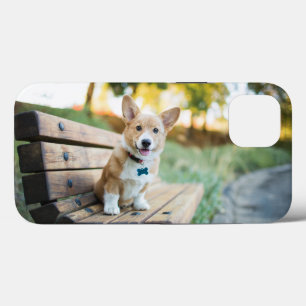 Case-Mate iPhone Case Animaux de bébés cutest Corgi Puppy sur un banc