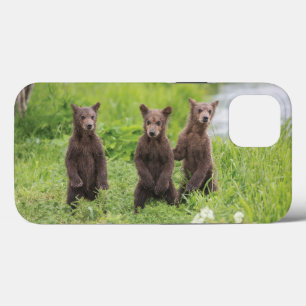 Case-Mate iPhone Case Animaux de bébés cutest Cubes d'ours Brown Kamch