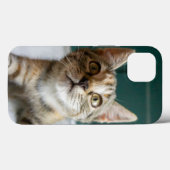 Coques Case-Mate iPhone Animaux de bébés cutest | Cute Tabby Kitten (Verso (horizontal))