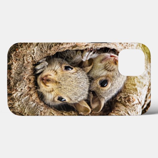 Coques Case-Mate iPhone Animaux de bébés cutest | Écureuils curieux (Verso (horizontal))