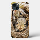 Coques Case-Mate iPhone Animaux de bébés cutest | Écureuils curieux (Verso)