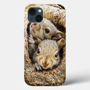 Case-Mate iPhone Case Animaux de bébés cutest   Écureuils curieux