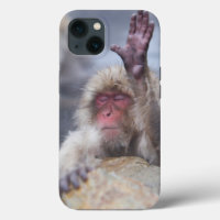 Animaux de bébés cutest | Face de singe de neige