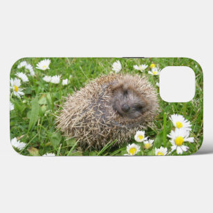 Case-Mate iPhone Case Animaux de bébés cutest Hérisson espagnol