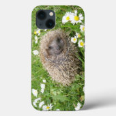 Coques Case-Mate iPhone Animaux de bébés cutest | Hérisson espagnol (Verso)