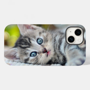 Coque Pour iPhone 14 Animaux de bébés cutest   Kitten aux yeux bleus