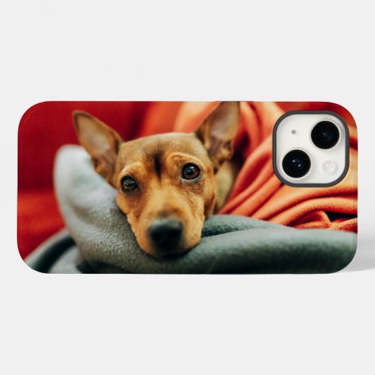 Coques Case-Mate iPhone Animaux de bébés cutest | Miniature Pinscher (Verso (horizontal))