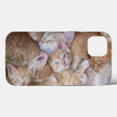 Coques Case-Mate iPhone Animaux de bébés cutest | Orange Kitten Pile (Verso (horizontal))