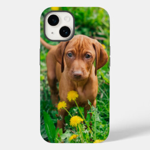 Coque Pour iPhone 14 Animaux de bébés cutest   Pointeur