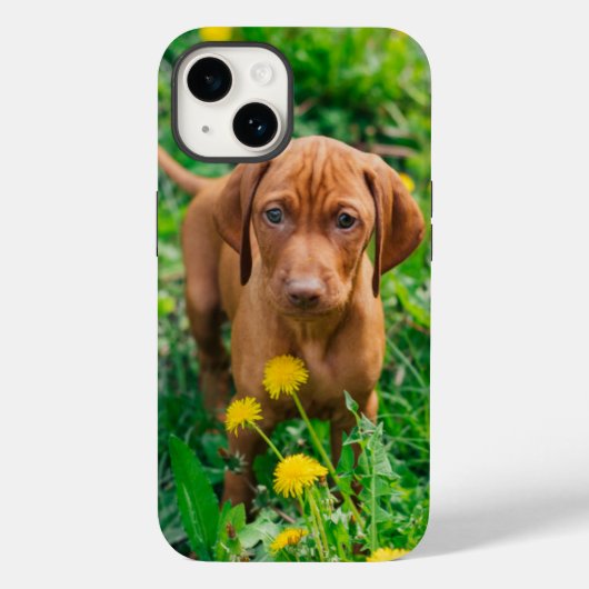 Coques Case-Mate iPhone Animaux de bébés cutest | Pointeur (Verso)