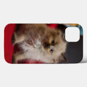 Coques Case-Mate iPhone Animaux de bébés cutest | Siamese Kitten (Verso (horizontal))