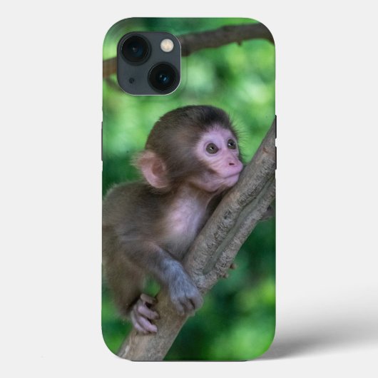 Coques Case-Mate iPhone Animaux de bébés cutest | Singe bébé (Verso)