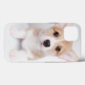 Coques Case-Mate iPhone Animaux de bébés cutest | Tiny Corgi (Verso (horizontal))