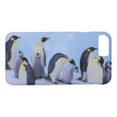 Coques Case-Mate iPhone Antarctique, Emporer Penguins (Dos (Horizontal))