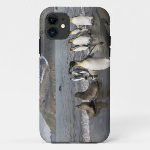 Case-Mate iPhone Case Antarctique, île de Géorgie du Sud (Royaume-Uni),