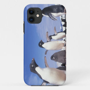 Coque Case-Mate Pour iPhone Antarctique, Manchot Adélie Pygoscelis