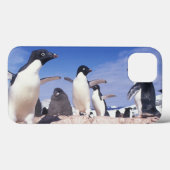Coques Case-Mate iPhone Antarctique, Manchot Adélie Pygoscelis (Verso (horizontal))