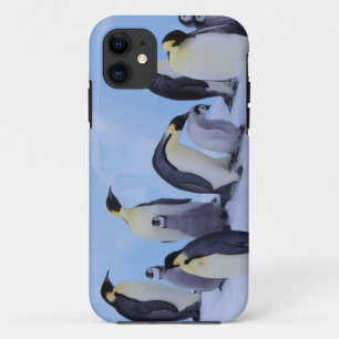 Coque Case-Mate Pour iPhone Antarctique, Manchots Empereurs