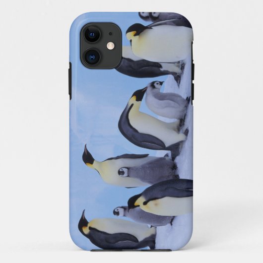 Coques Case-Mate iPhone Antarctique, Manchots Empereurs (Dos)