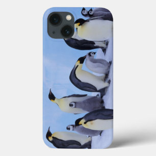 Etui iPhone 13 Antarctique, Manchots empereurs